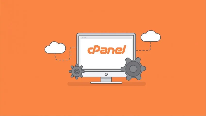 cPanel Yedek Alma İşlemi